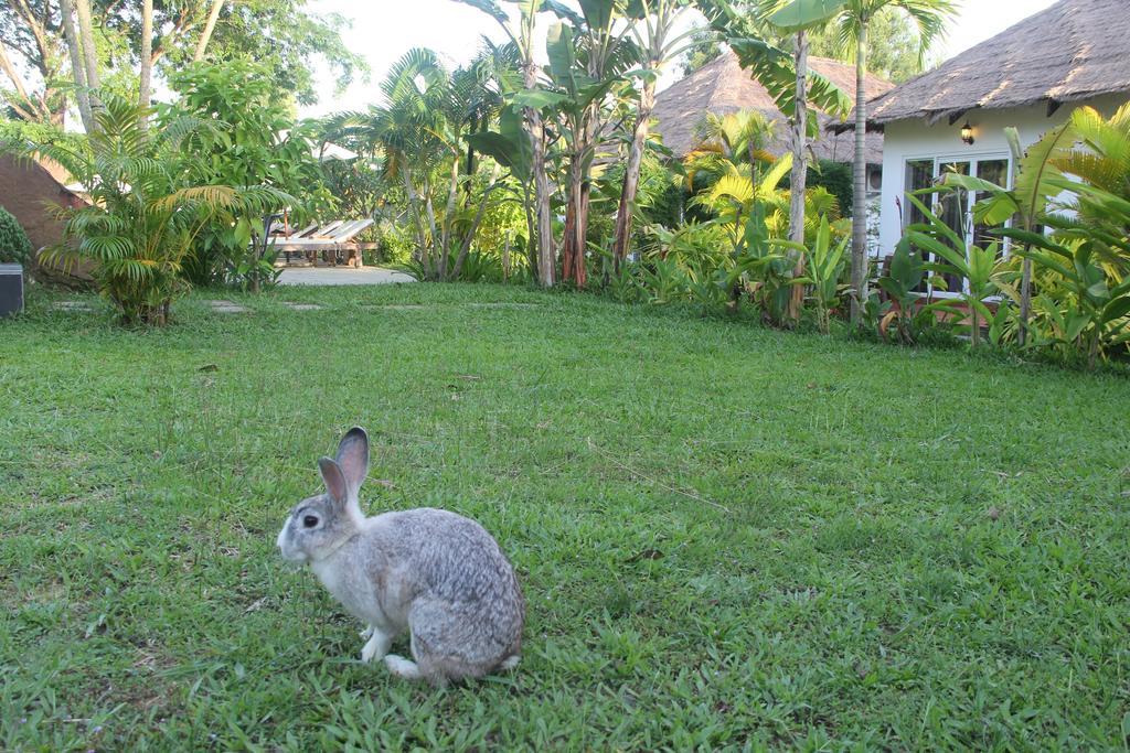 Blue Sea Boutique Hotel Sihanoukville Extérieur photo